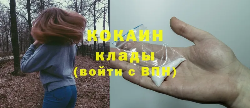 Кокаин FishScale  цена наркотик  Курильск 